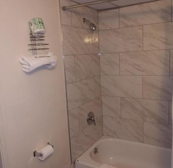 汽车旅馆  Red Apple Inn