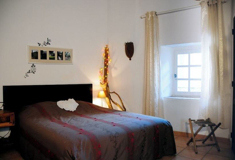 Orangerie De Cardet   Maison D Hôtes   B&b