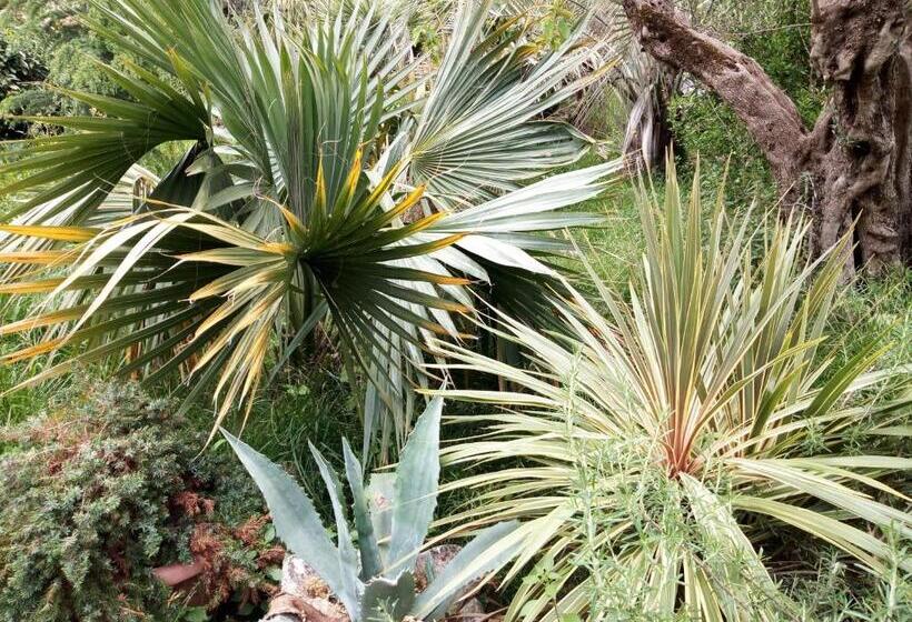 膳宿费 Casa Emilia