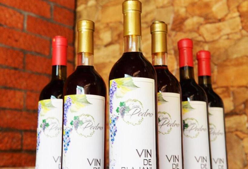 بنسيون Casa Pedro