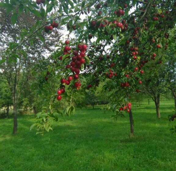 פנסיון Eco Familia