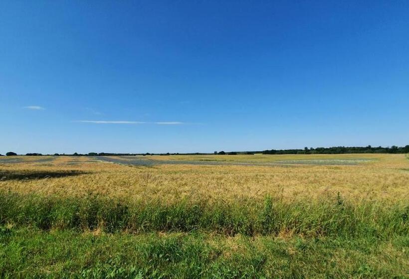 펜션 Gutshof Kämmerich