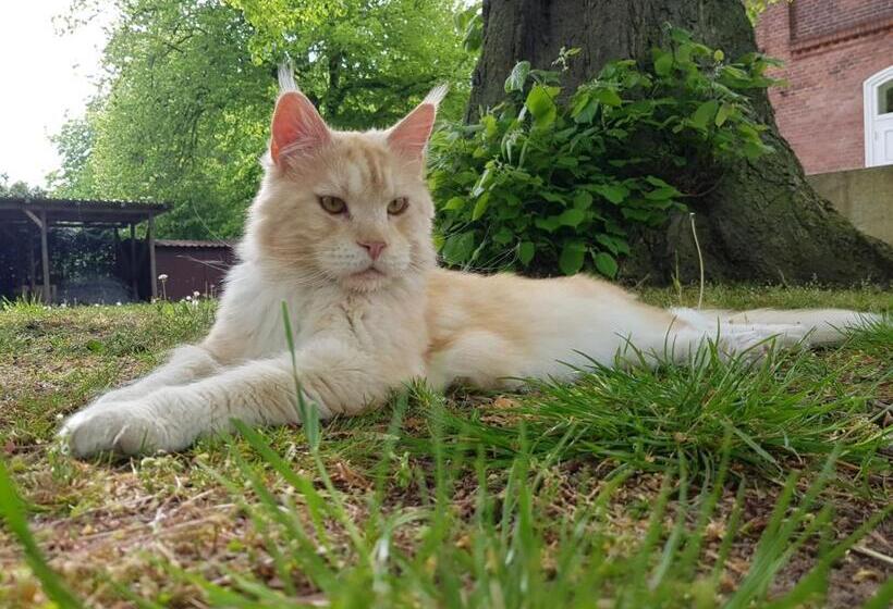 펜션 Gutshof Kämmerich