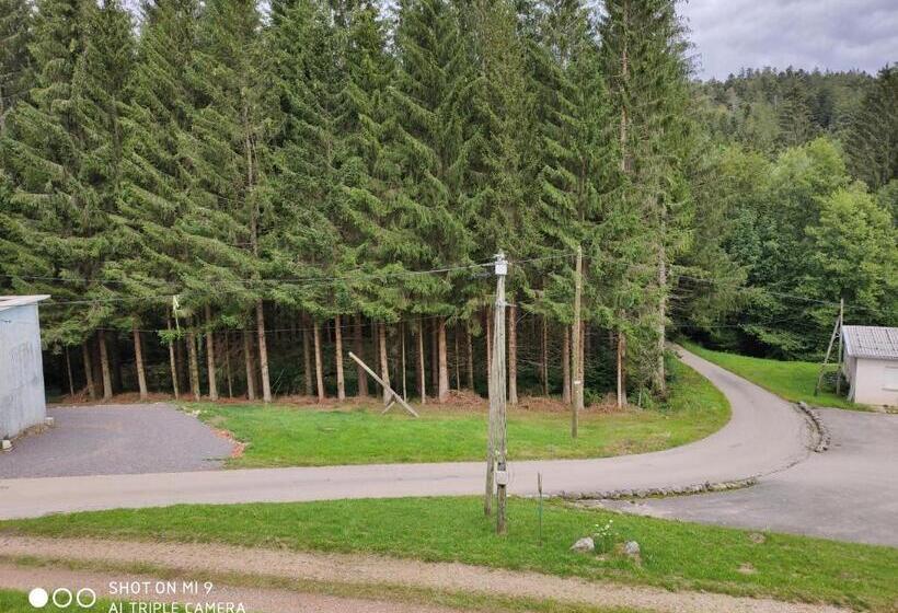 פנסיון L Ecureuil