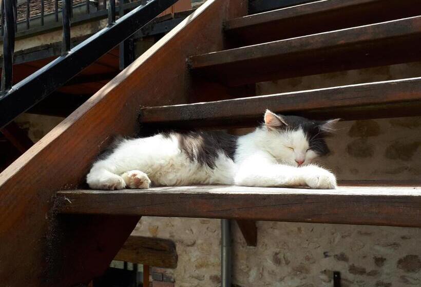 פנסיון La Grange Des Blins