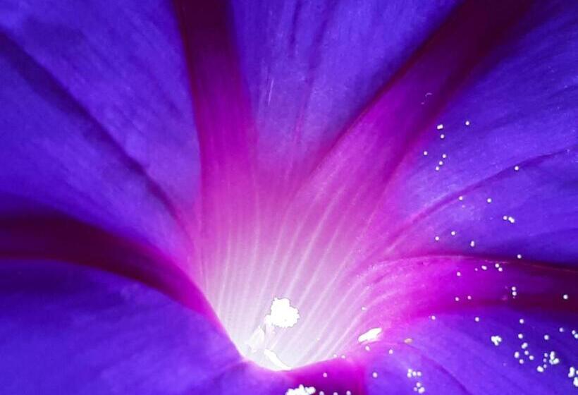 פנסיון La Grange Des Blins