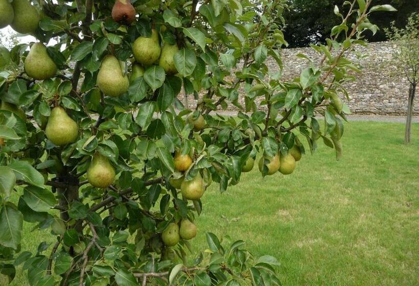 Пансион Le Château D Hauterives