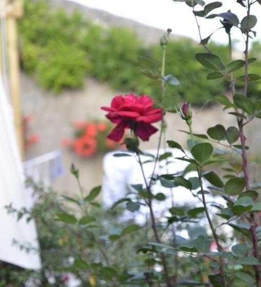 膳宿费 Le Clos Des Pommes