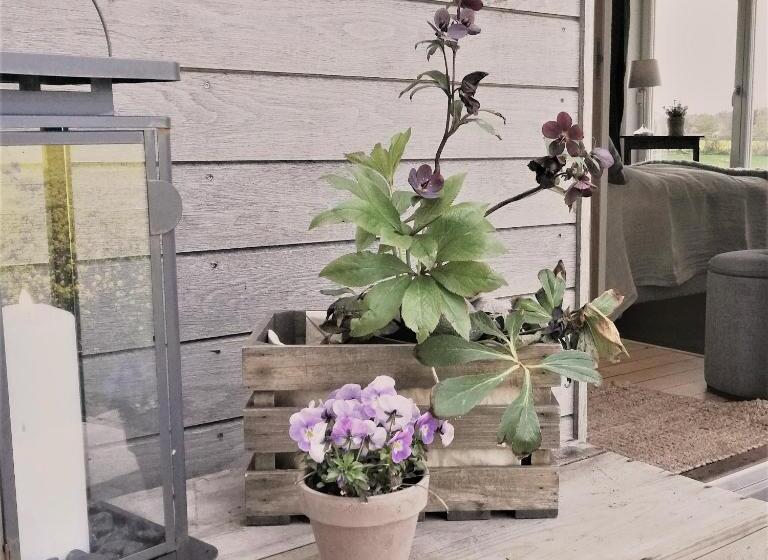 פנסיון Lilla Lyngabo