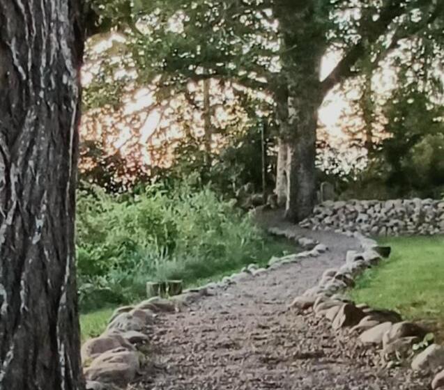 פנסיון Lilla Lyngabo