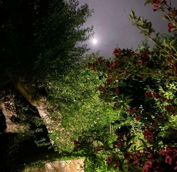 ペンション Nouveau Chambre Cosy Dans Un Havre De Paix..