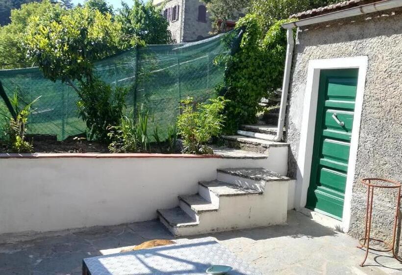 Пансион Ospitale Di San Domenico Rooms