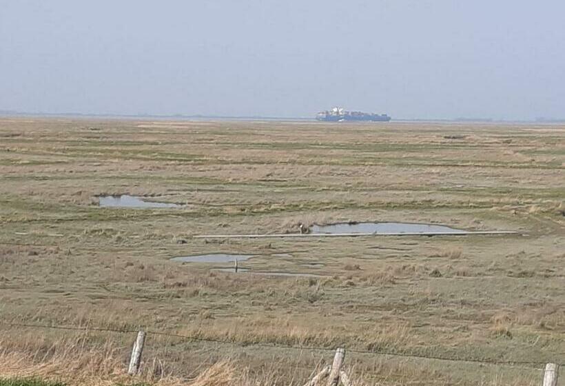 ペンション Overnachten In Nieuw Namen