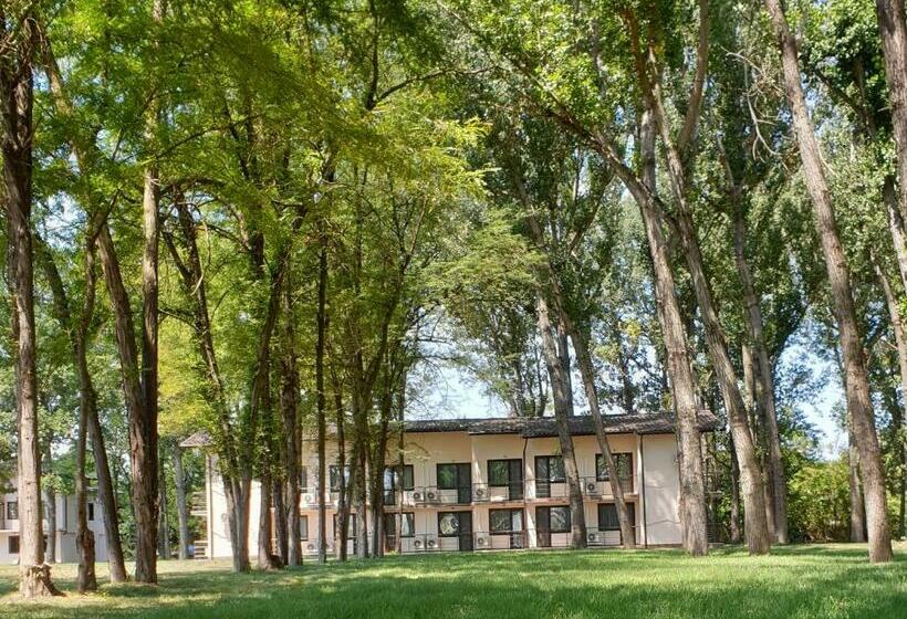 بنسيون Paradise Park