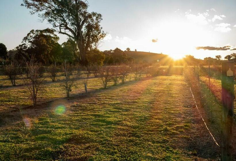 פנסיון Riverview Farm & Guesthouse