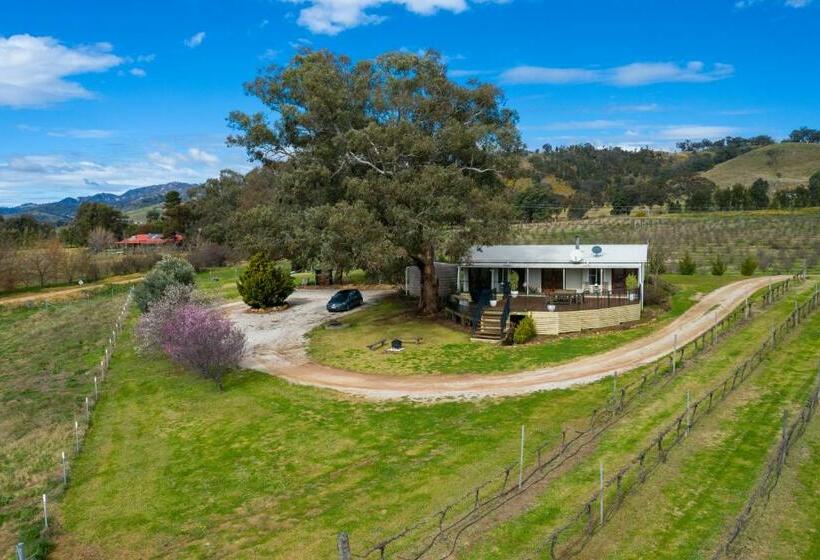 פנסיון Riverview Farm & Guesthouse