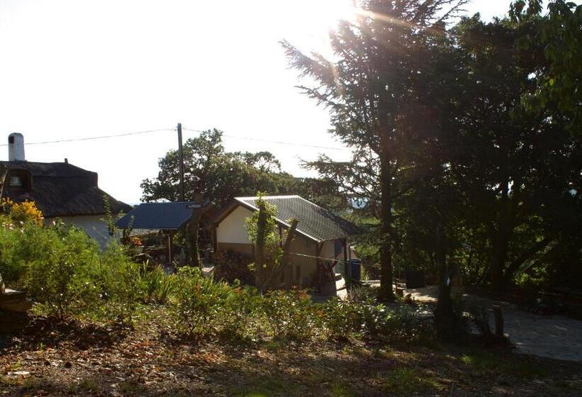 بنسيون Sasfészek Pihenő