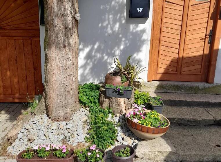 ペンション Soukromá Rezidence Pohádková Usedlost Lovětín