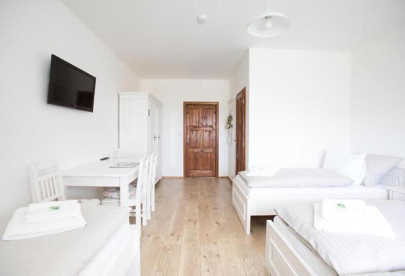 Пансион Statek Dolní Suchá