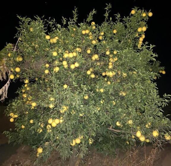 פנסיון Thokazi Haven Guest House & Backpacker