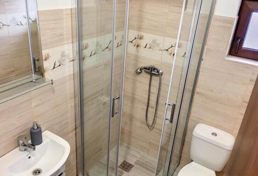 Pensiunea Bozi Timisoara