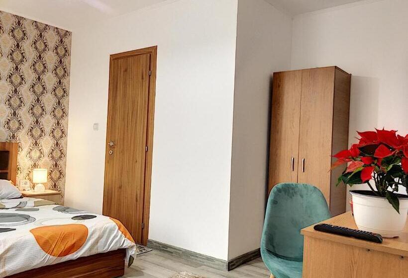 Pensiunea Bozi Timisoara