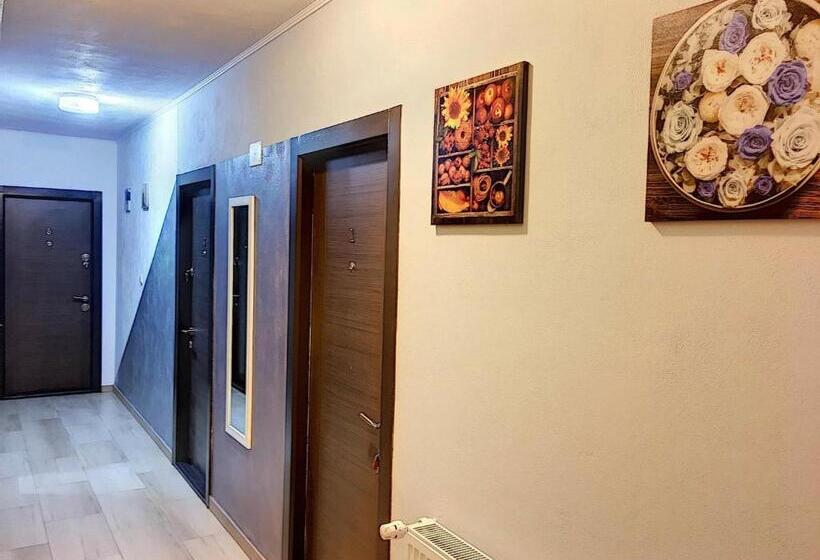 Pensiunea Bozi Timisoara