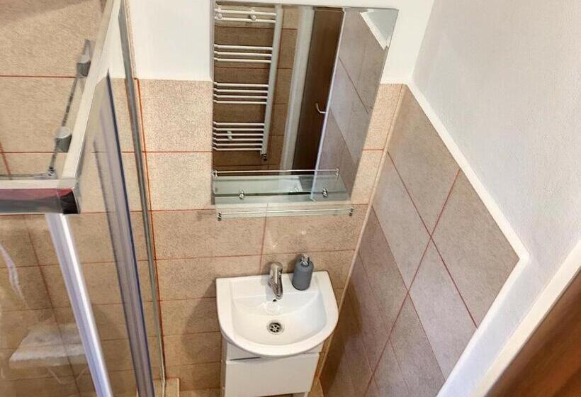 Pensiunea Bozi Timisoara