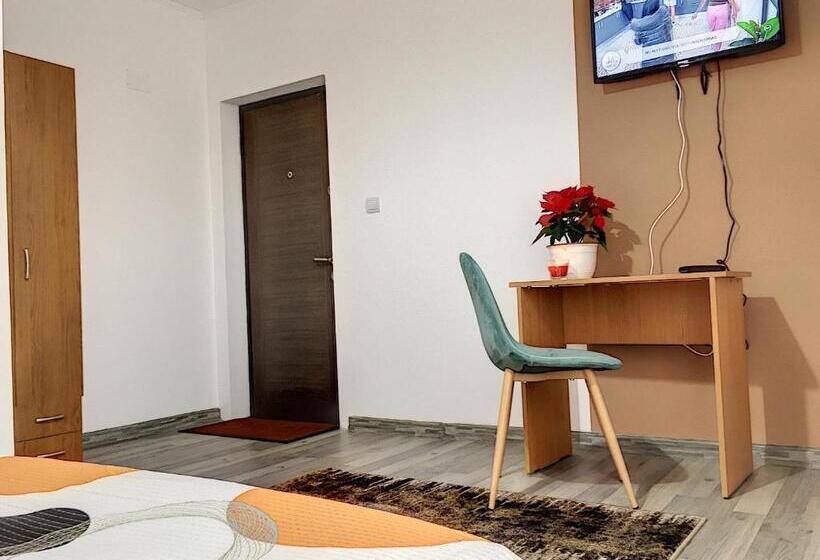 Pensiunea Bozi Timisoara