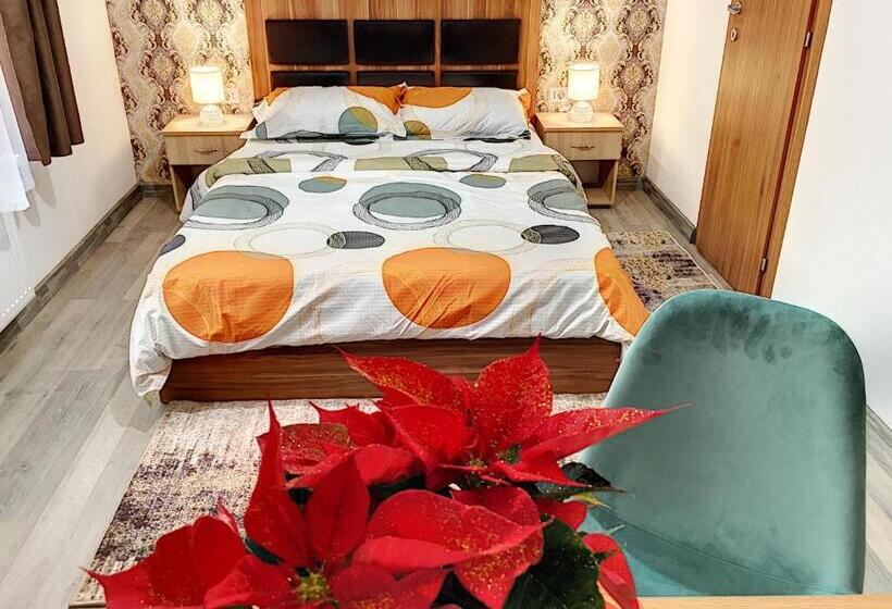 Pensiunea Bozi Timisoara