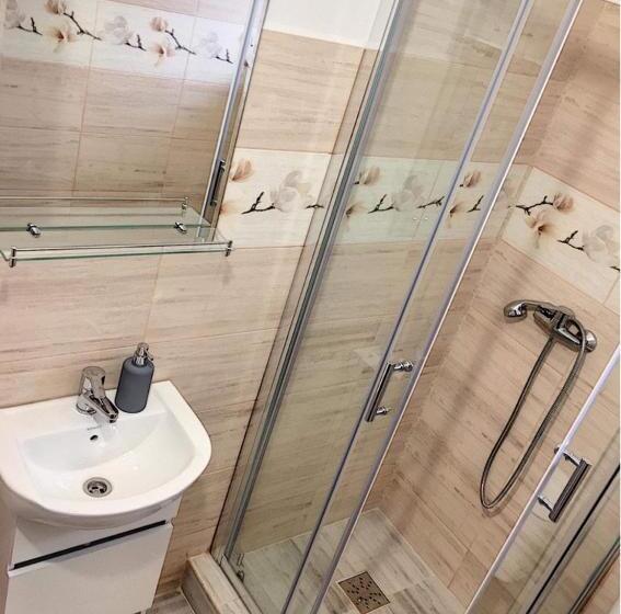 Pensiunea Bozi Timisoara