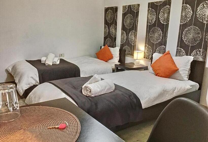 Pensiunea Bozi Timisoara