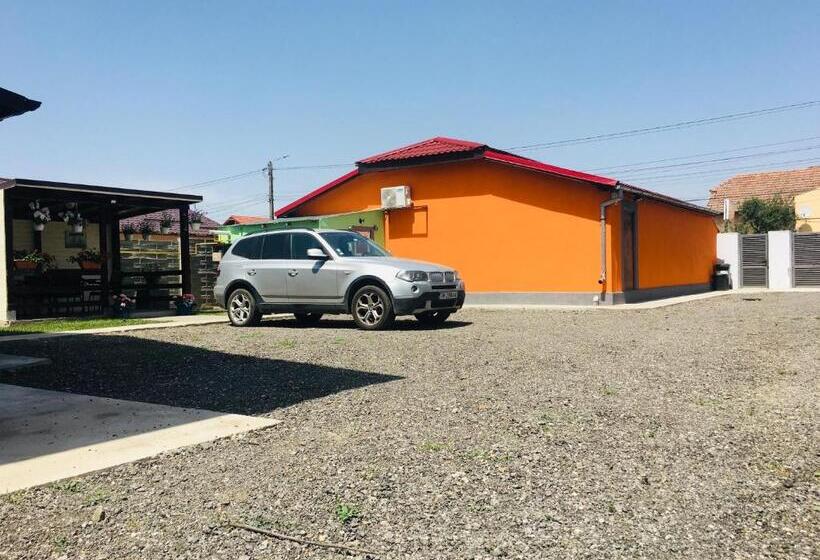 Pensiunea Bozi Timisoara