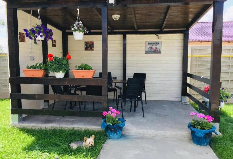 Pensiunea Bozi Timisoara