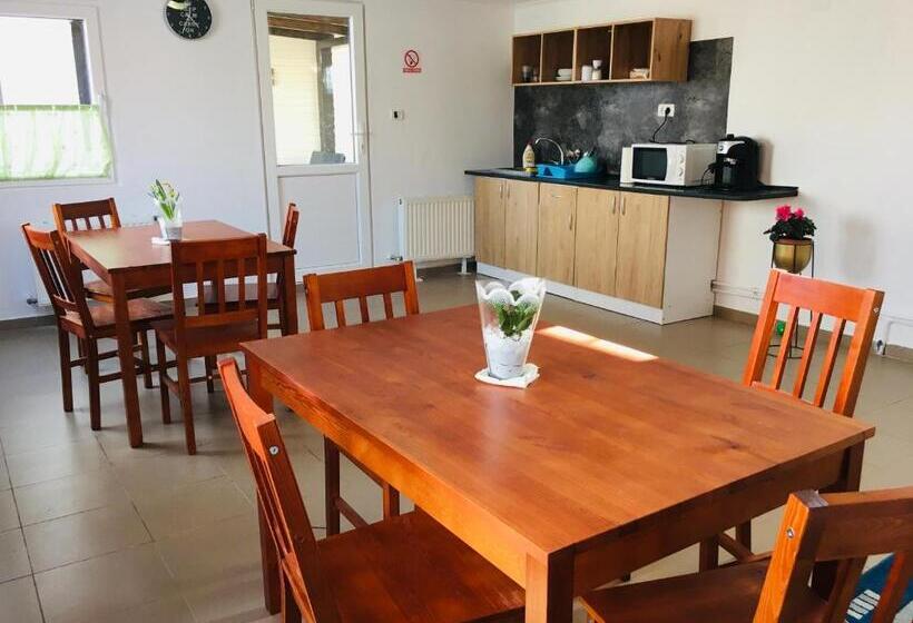 Pensiunea Bozi Timisoara