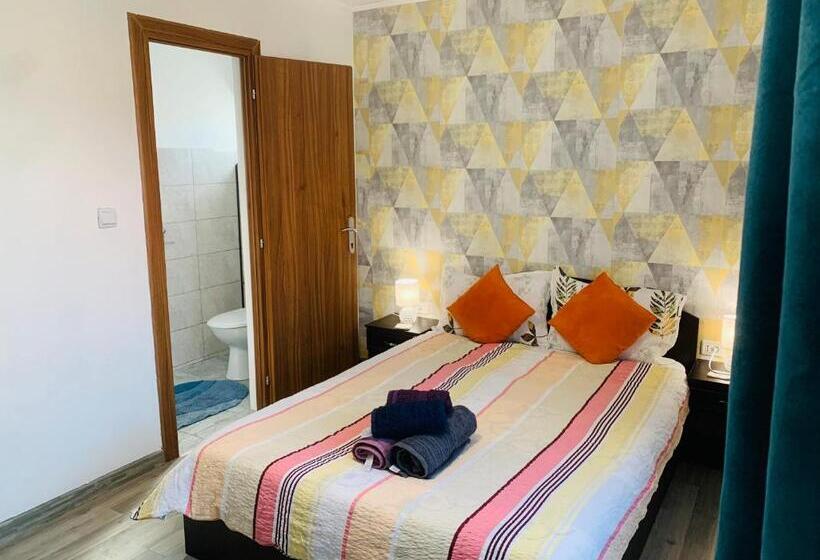 Pensiunea Bozi Timisoara