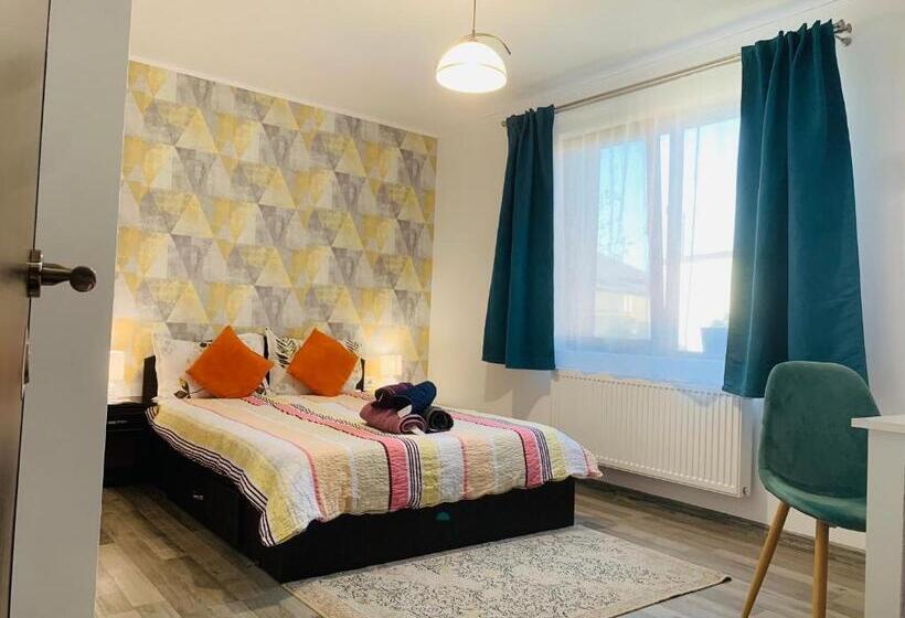 Pensiunea Bozi Timisoara