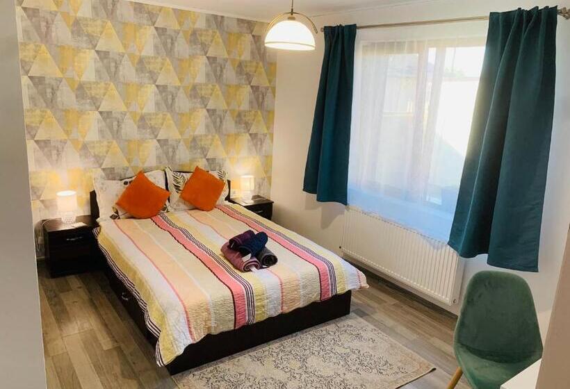 Pensiunea Bozi Timisoara