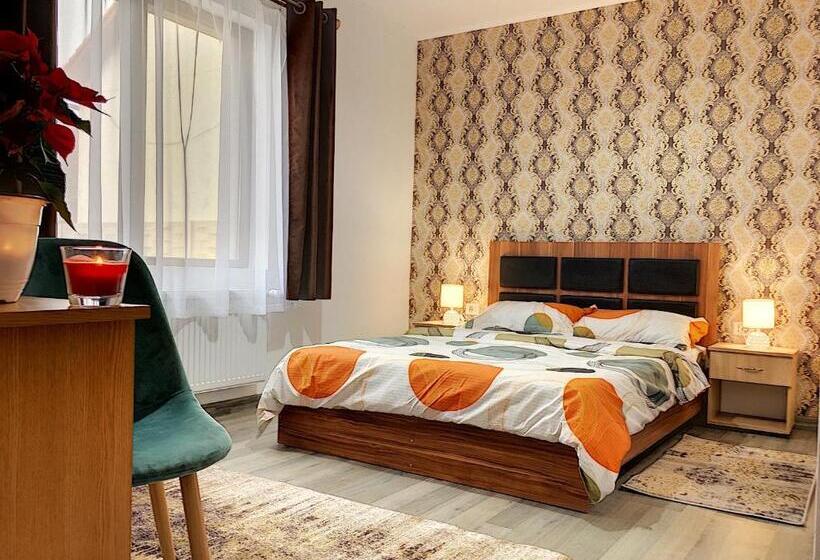 Pensiunea Bozi Timisoara