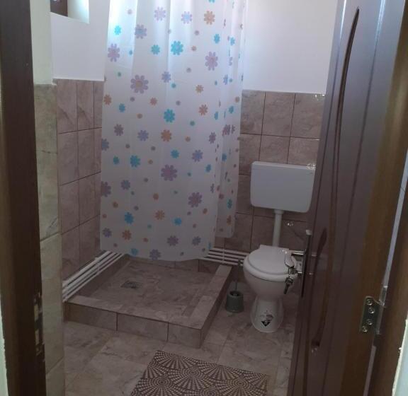 Pensiunea Narcisa Cu Ciubar