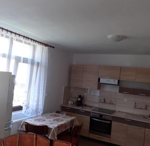 Pensiunea Narcisa Cu Ciubar