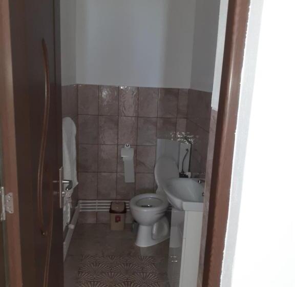 Pensiunea Narcisa Cu Ciubar