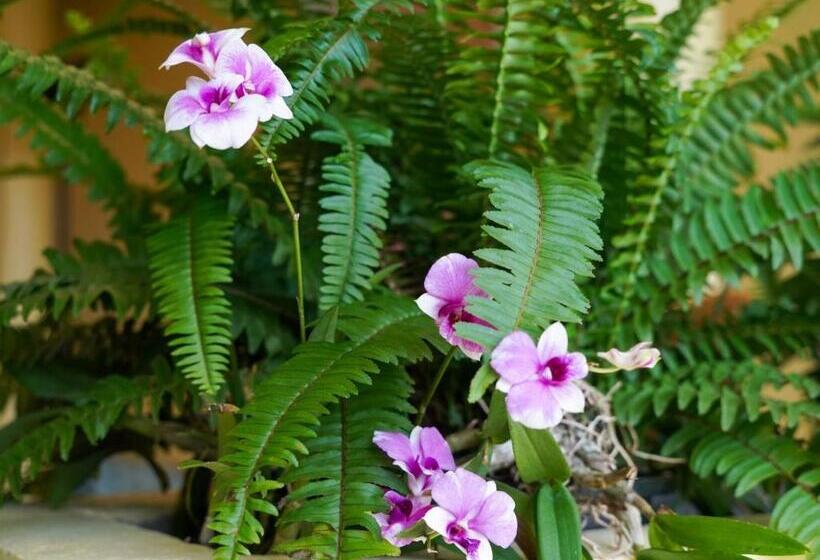 リゾートホテル Roomquest Baan Khun Phra The Iconic Residence