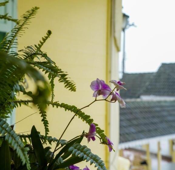 リゾートホテル Roomquest Baan Khun Phra The Iconic Residence