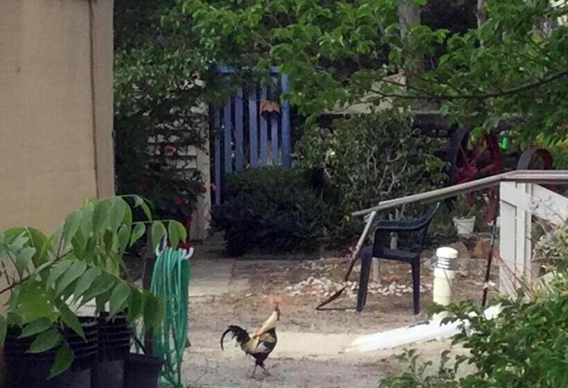 Wagin Cottage Garden Bed And Breakfast