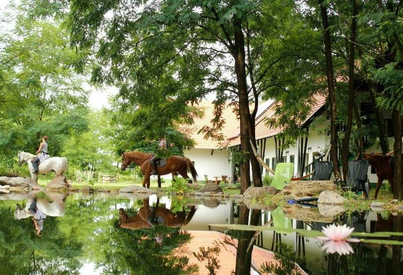 旅馆 Hunor Lovastanya