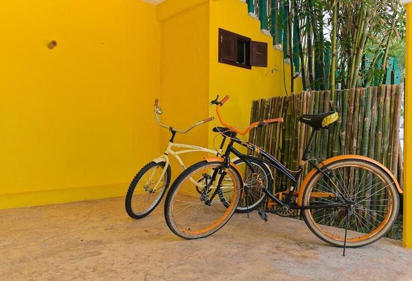 Общежитие Saak Luúm Ruta Puuc