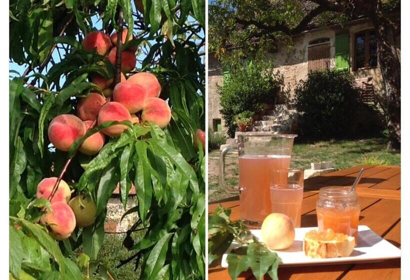 민박 A L Ombre Du Tilleul