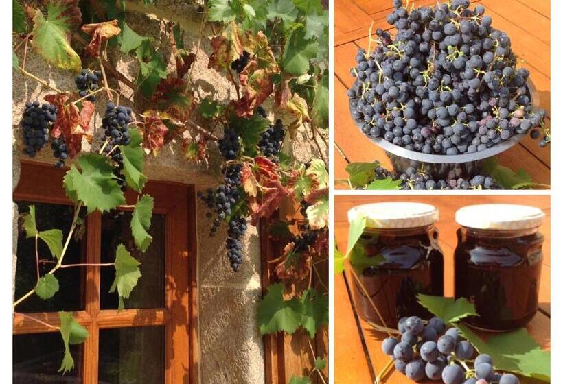 민박 A L Ombre Du Tilleul