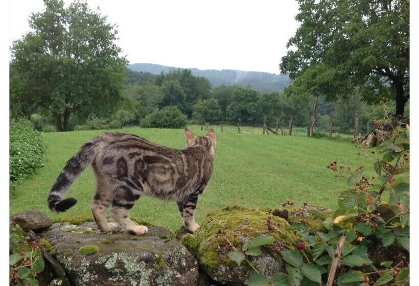 민박 A L Ombre Du Tilleul